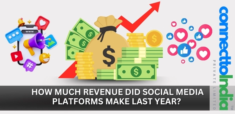 How Much Revenue Did Social Media Platforms Make Last Year?  [2024 Revenue Report]