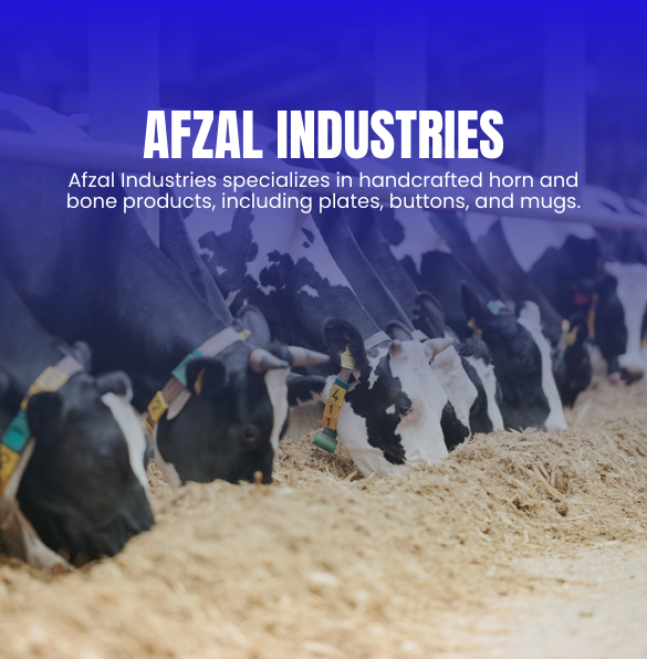 SEO results for afzalindustries.com