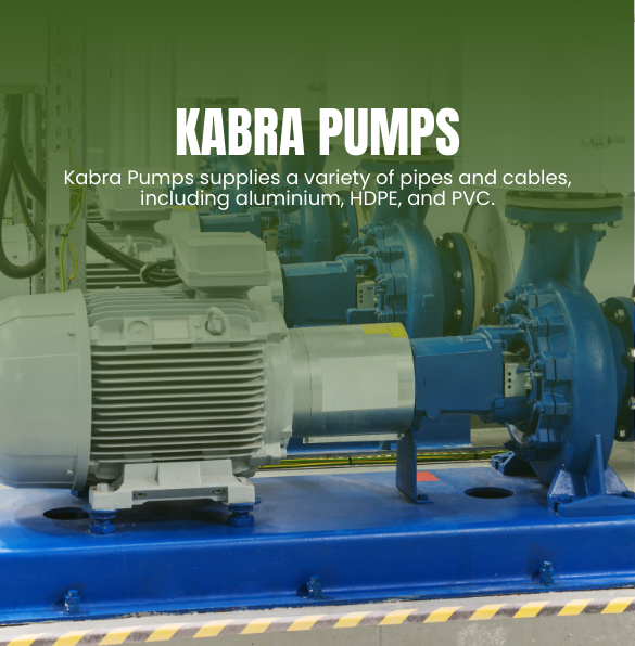 SEO results for kabrapumps.com