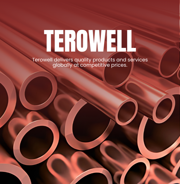 SEO results for terowell.com